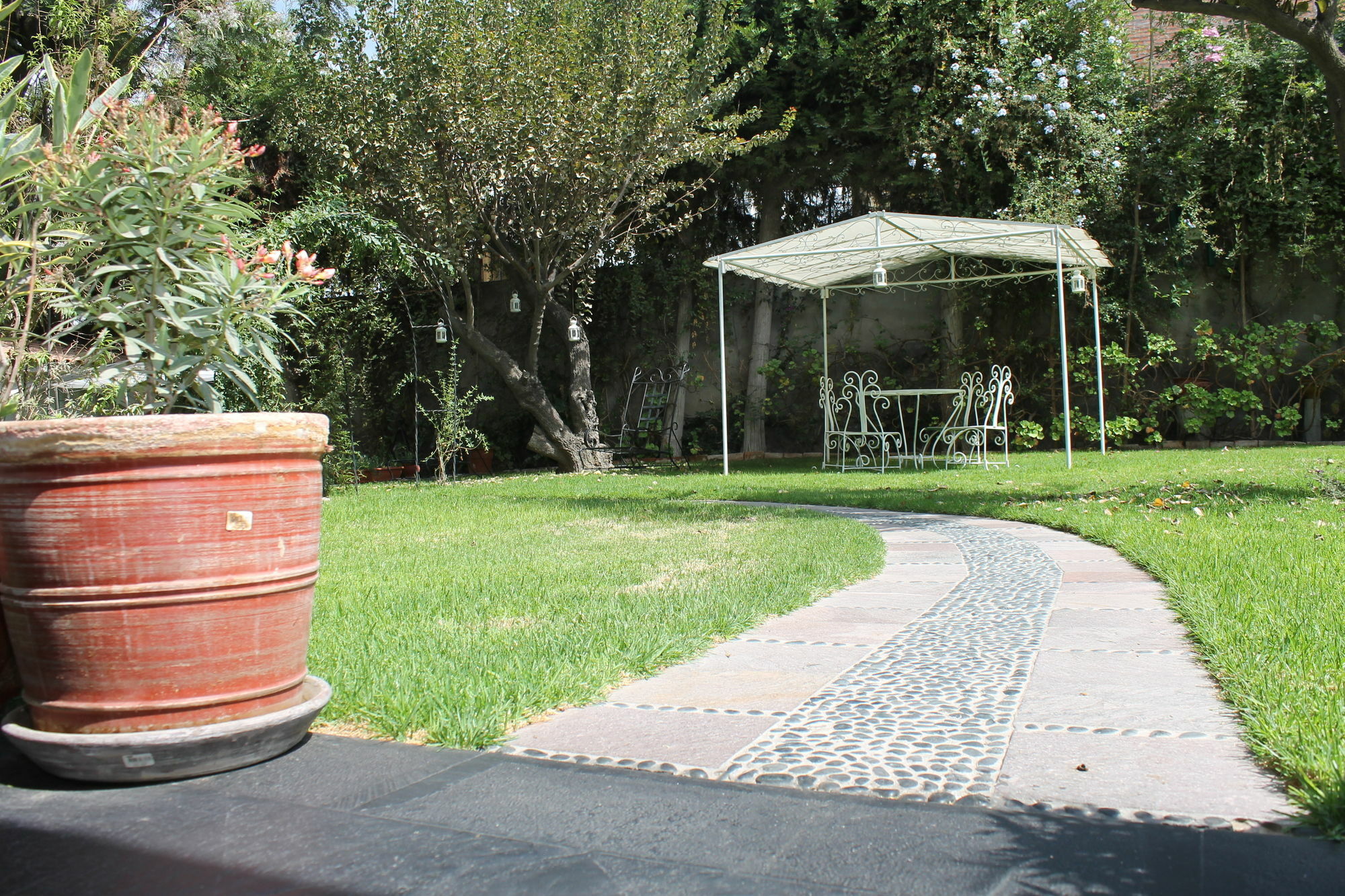 Hotel Boutique Villa Elisa Arequipa Dış mekan fotoğraf